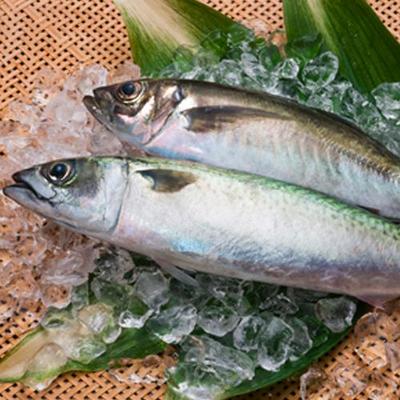 Boneless bamboo pod fish（HALAL）