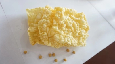 Fried tofu skin（HALAL）