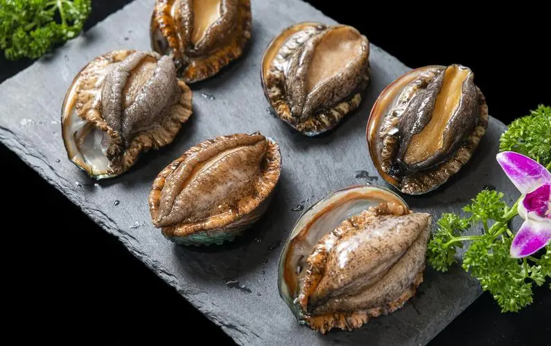 Frozen abalone（HALAL）